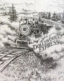 Dollywood Express Vintage T-shirt (XXL) AOP